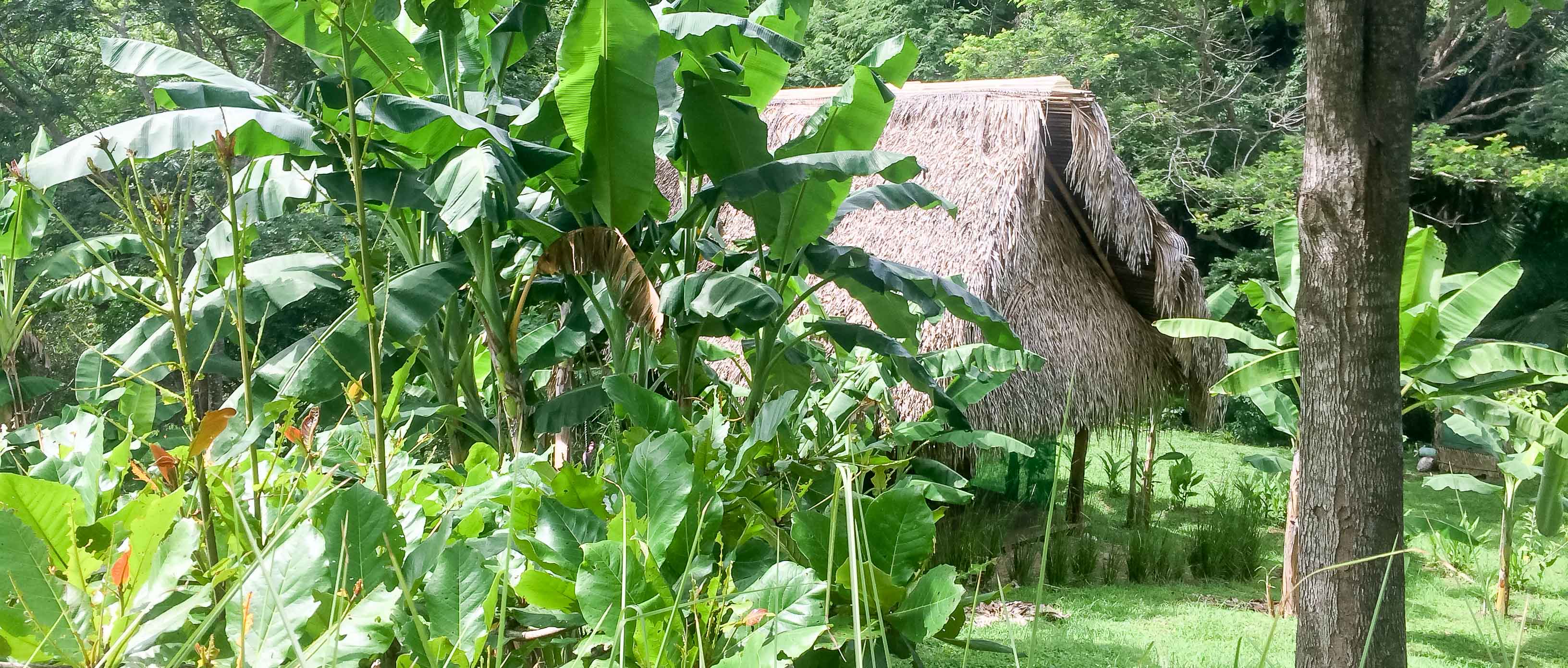 Shack In Hacienda Ario