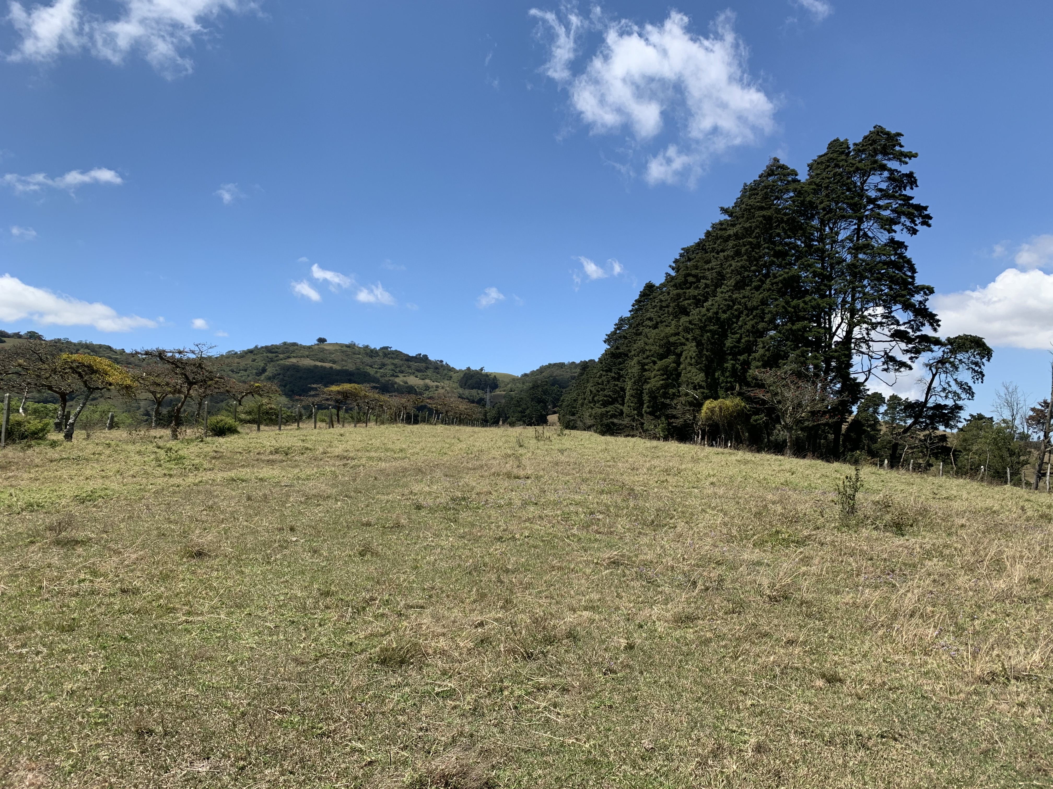 land for industrial development near cartago city view 003.jpg