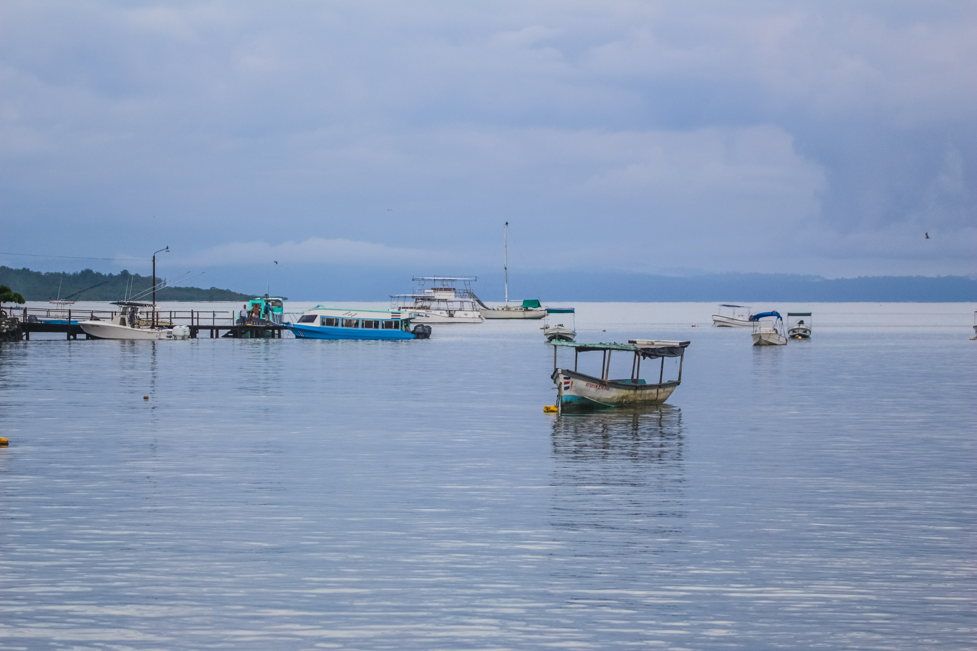 Boats Moored On Puerto Jimenez Pier Platanares Mangroves In Puerto Jimenez
