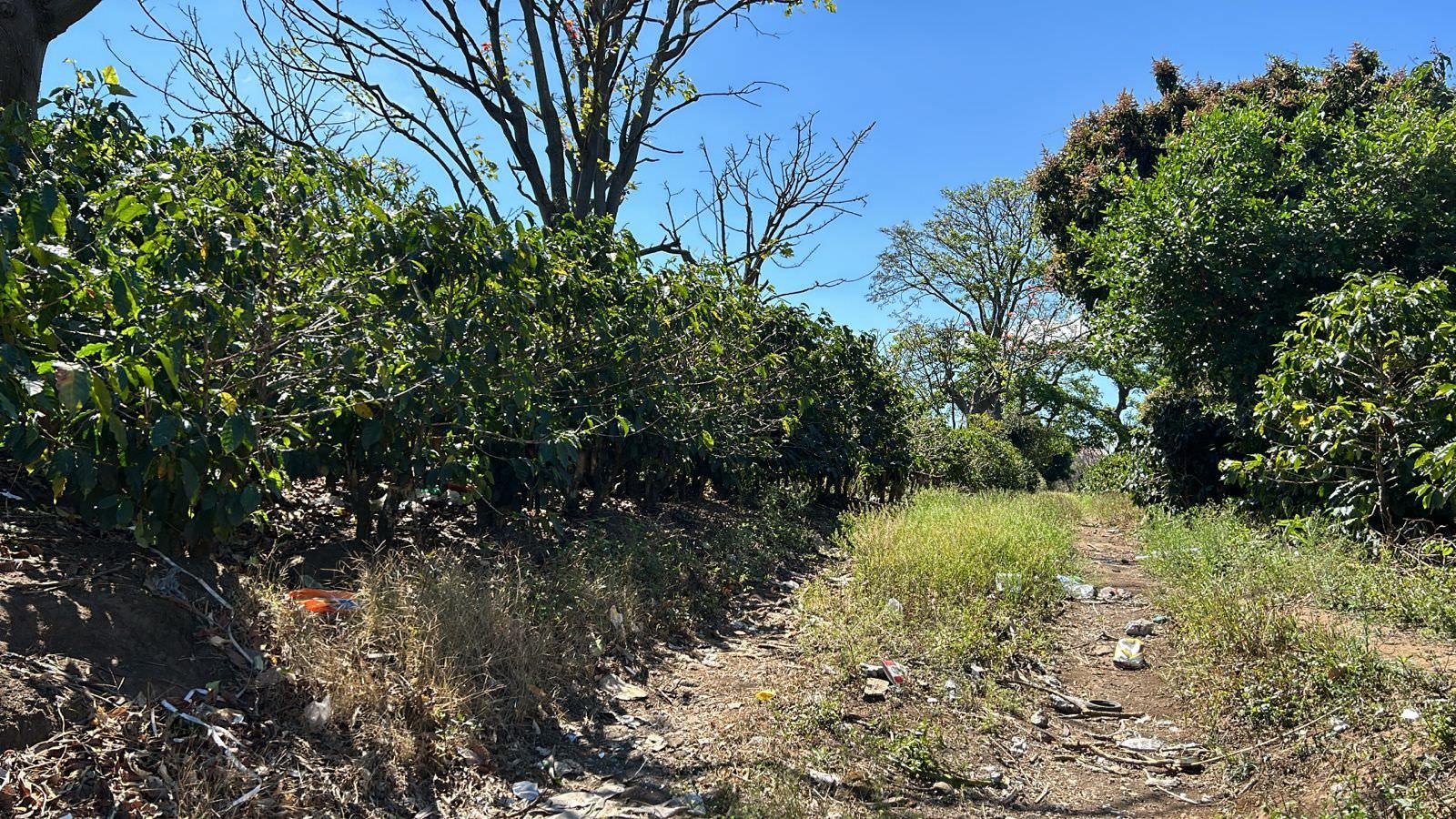 convert coffee farm into a mixed use development complex view 004.jpeg