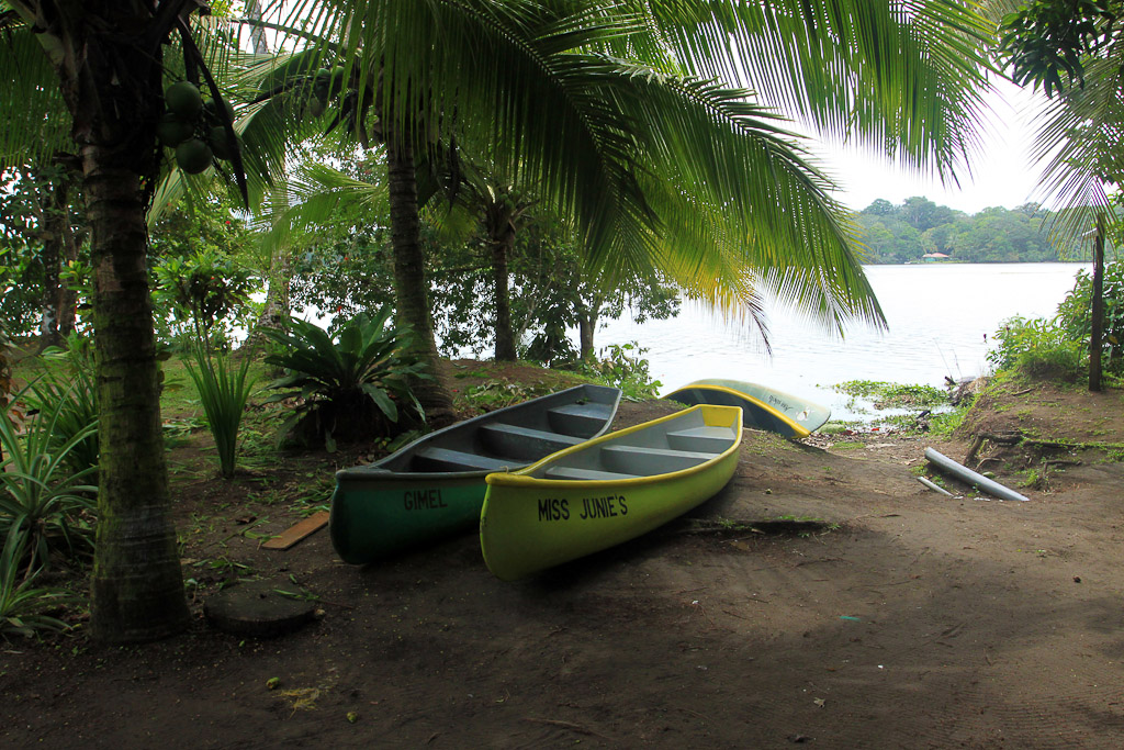 miss junies restaurant canoes 5.jpg