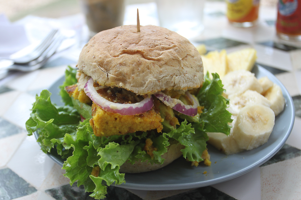 veggie burger samaraorganics 3.jpg