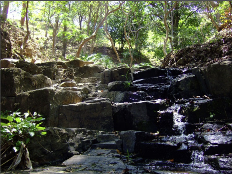 small farm in escazu for residentail development view 003.png
