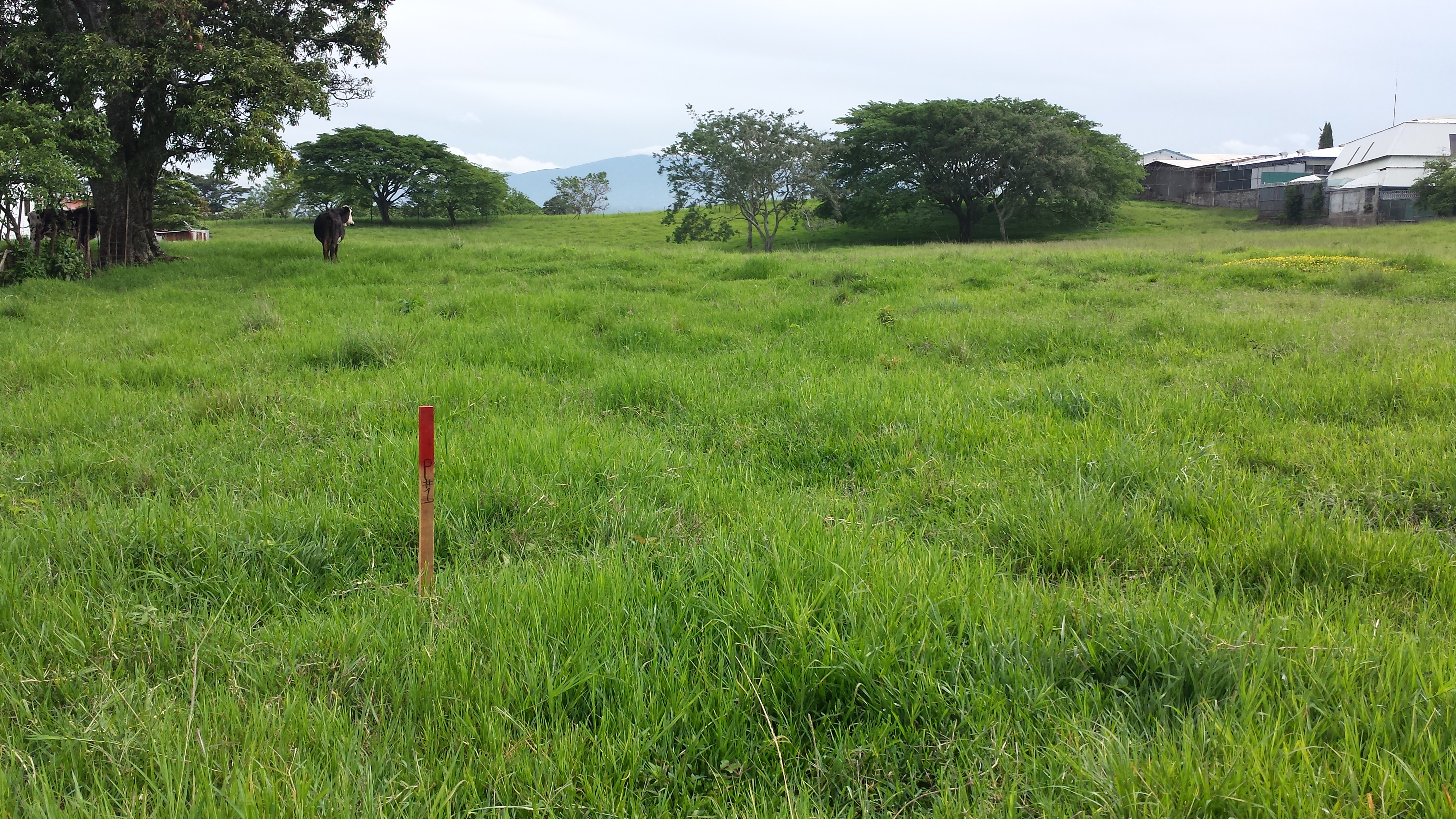 residential development site in alajuela view 007.jpg