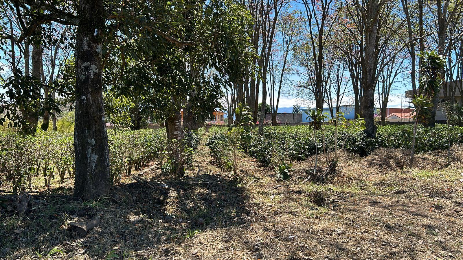 vacant lot under protected zone for development on route 32 san jose view 004.jpeg