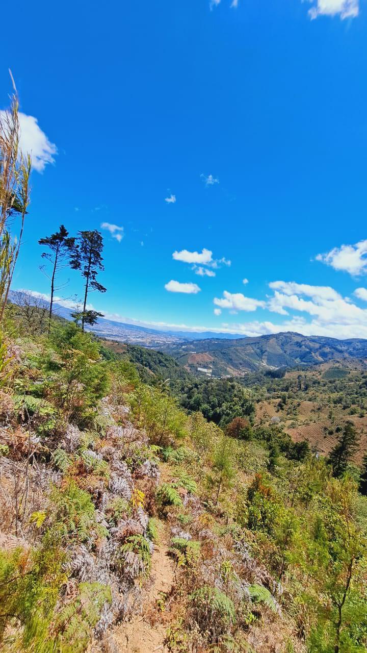 lots in the mountains of cartago for sale view 013.jpeg