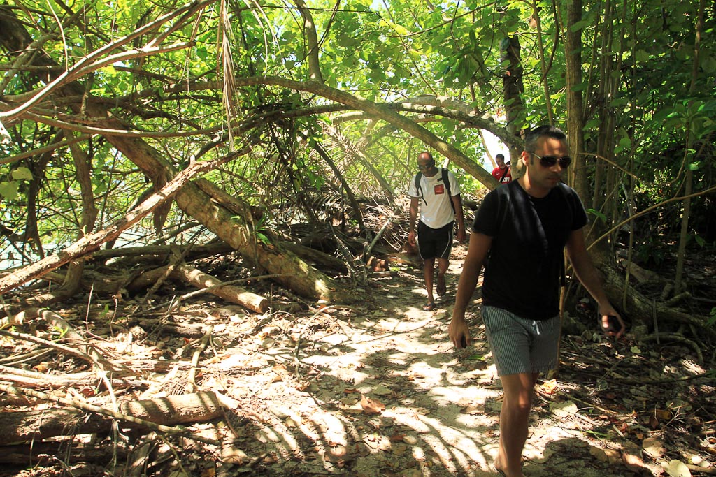 cahuita national park snorkeling hiking tour hiking 7.jpg