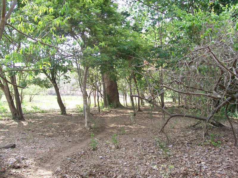 land for development near the beach in guanacaste view 010.jpg