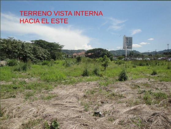 development site in santa ana view 008.jpg