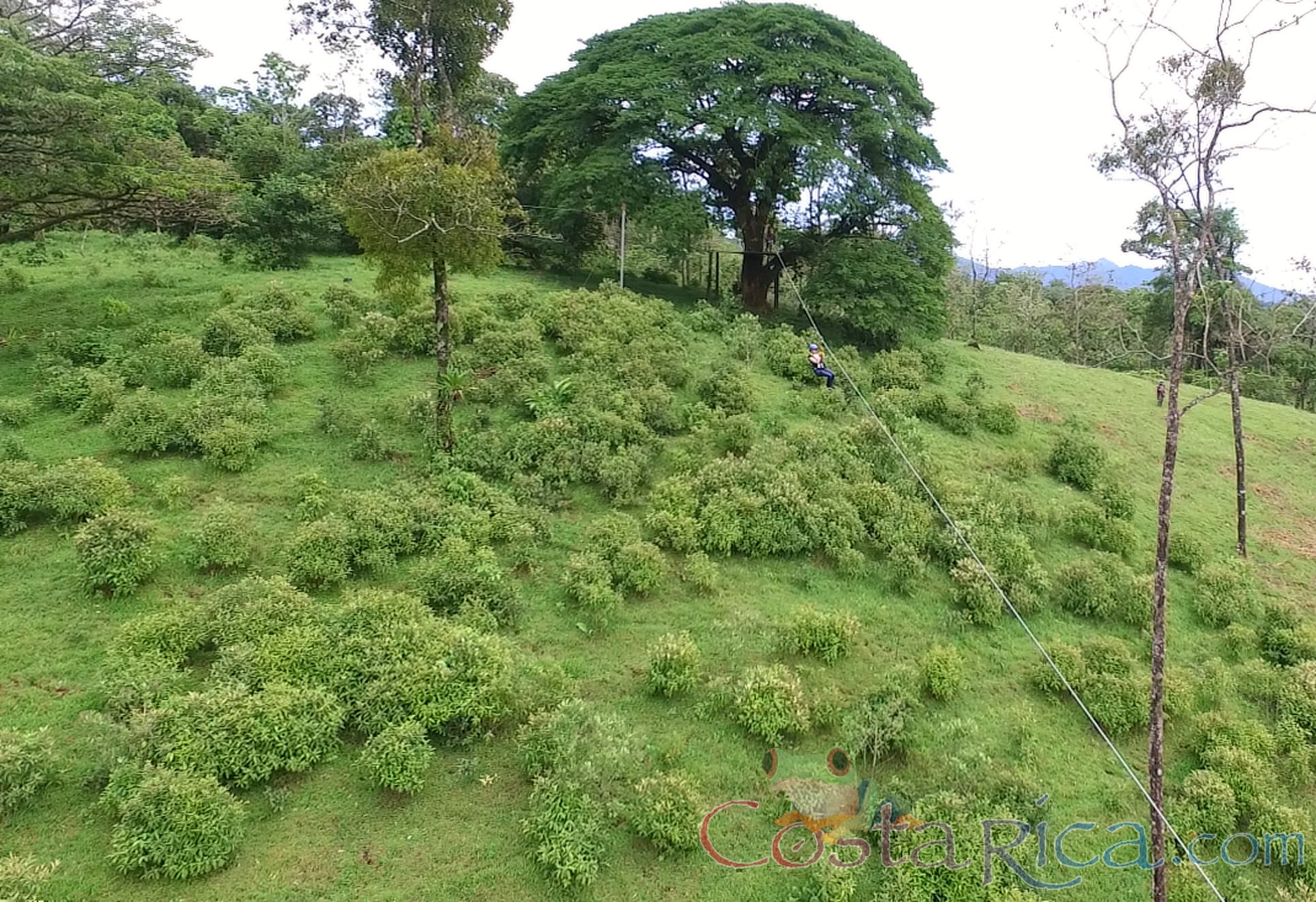 Man Ziplining From Tree Platform