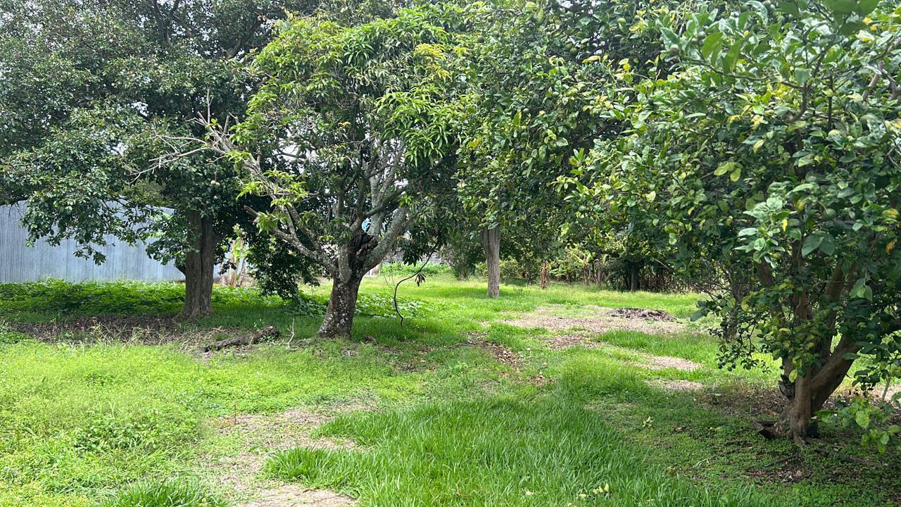 lot for development in the town of moravia view 002.jpeg