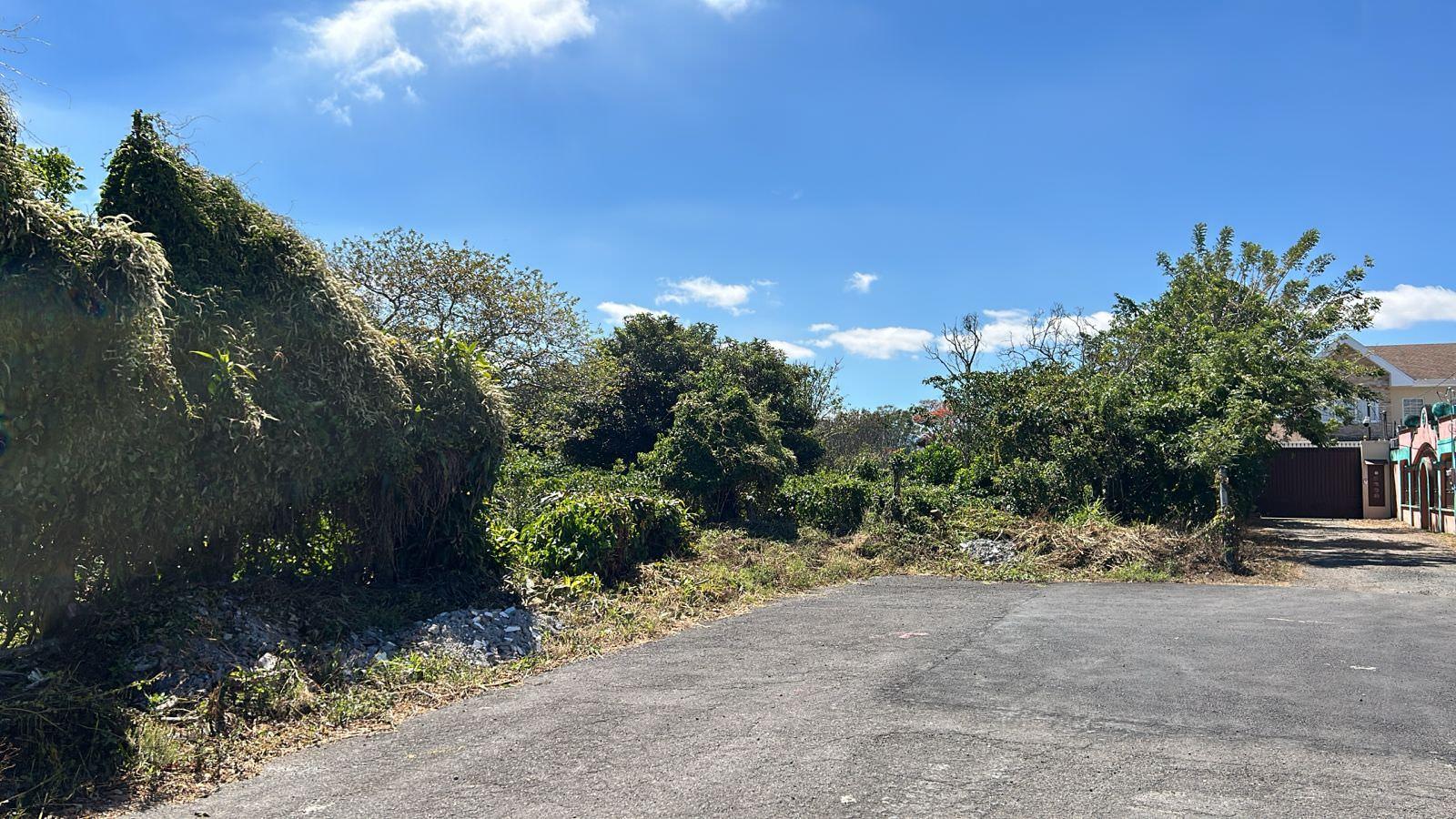 convert coffee farm into a mixed use development complex view 001.jpeg