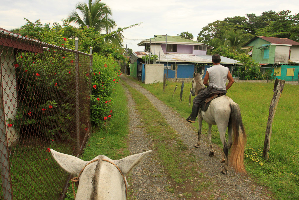 terraventuras beach horseback ride pueblos 2.jpg