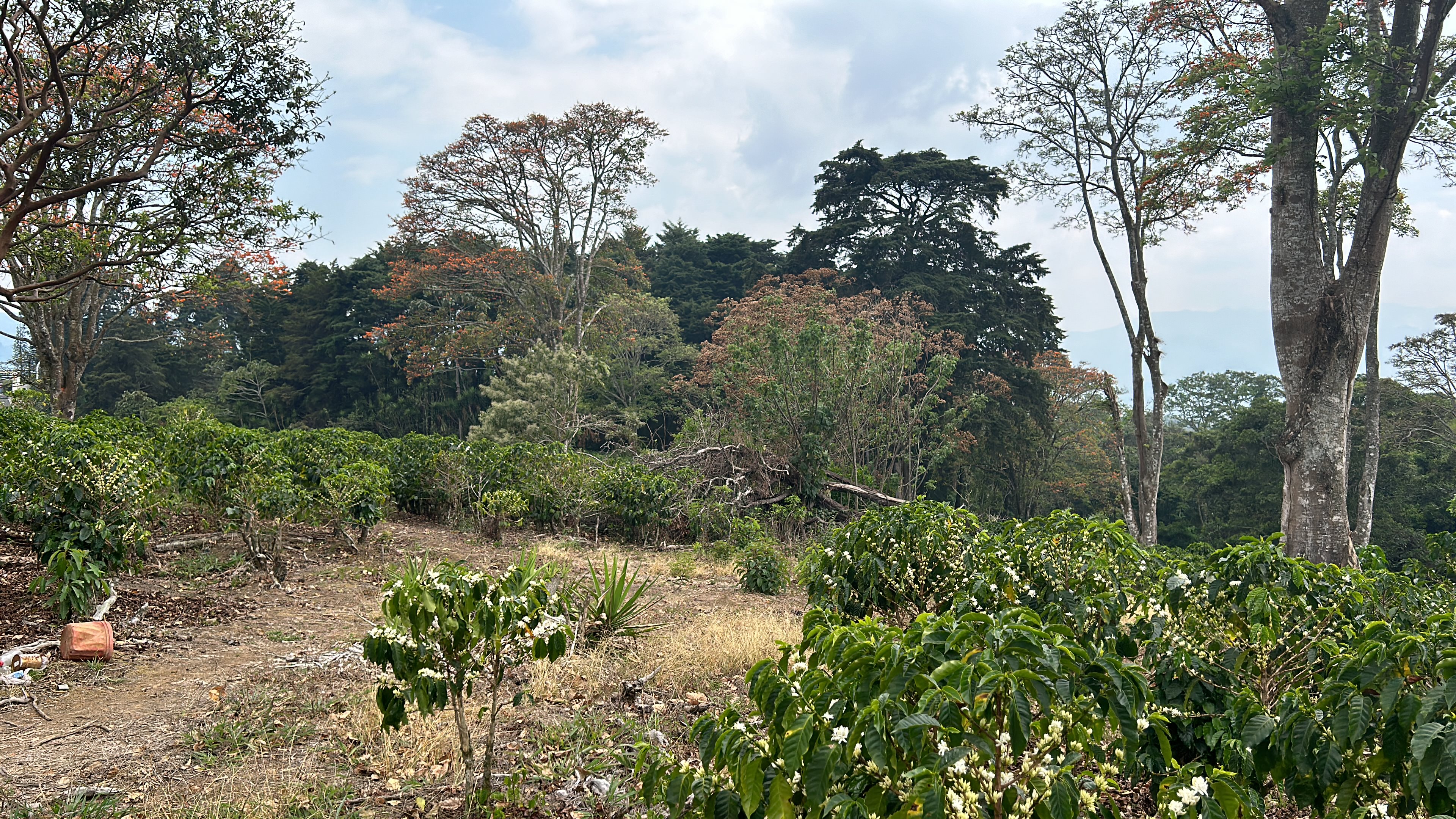 cul de sac residential development lot view 011.jpg