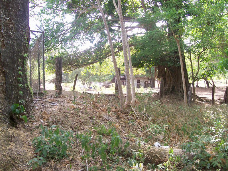 land for development near the beach in guanacaste view 007.jpg