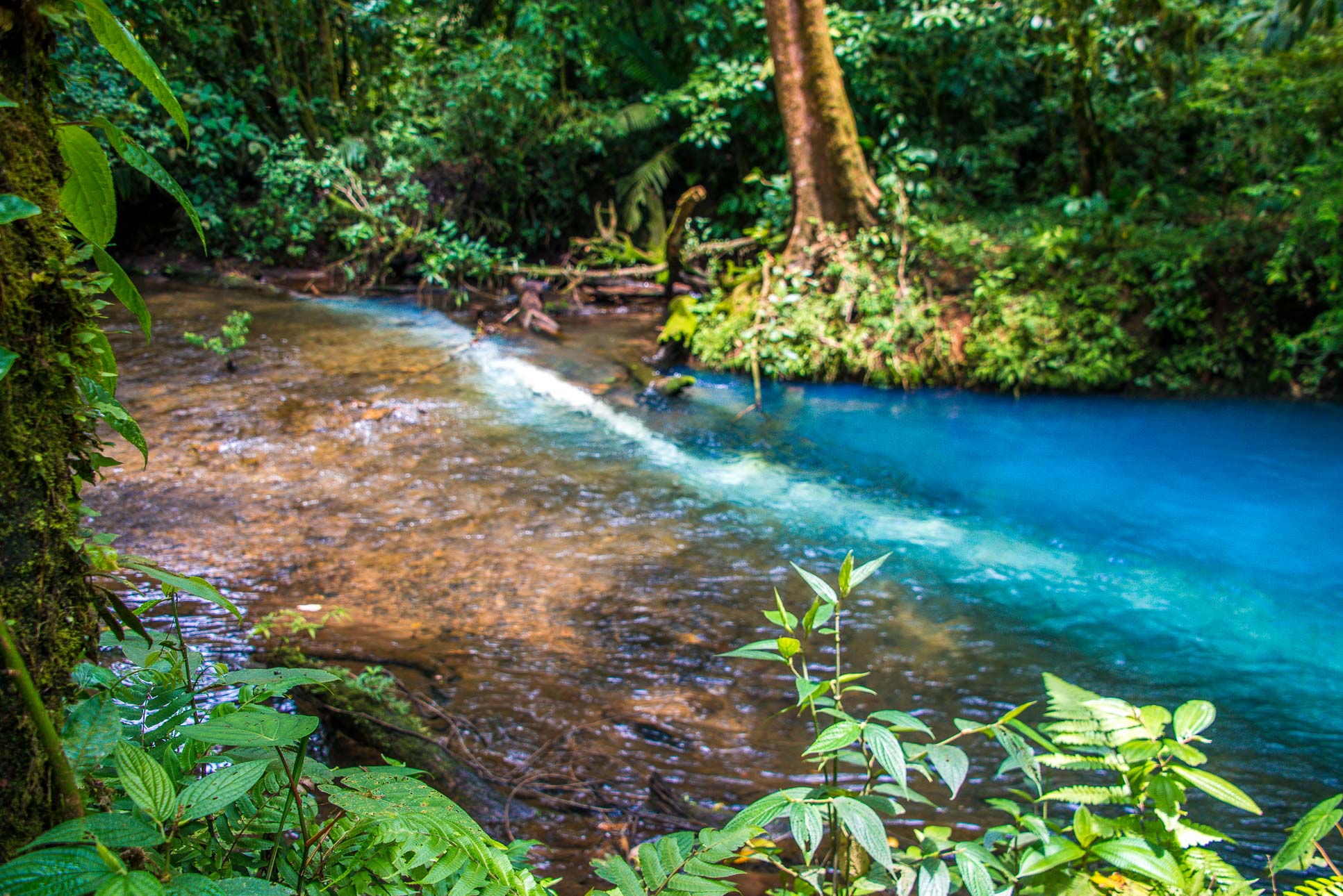 Tenidero Place Where Fresh Water Turns Blue