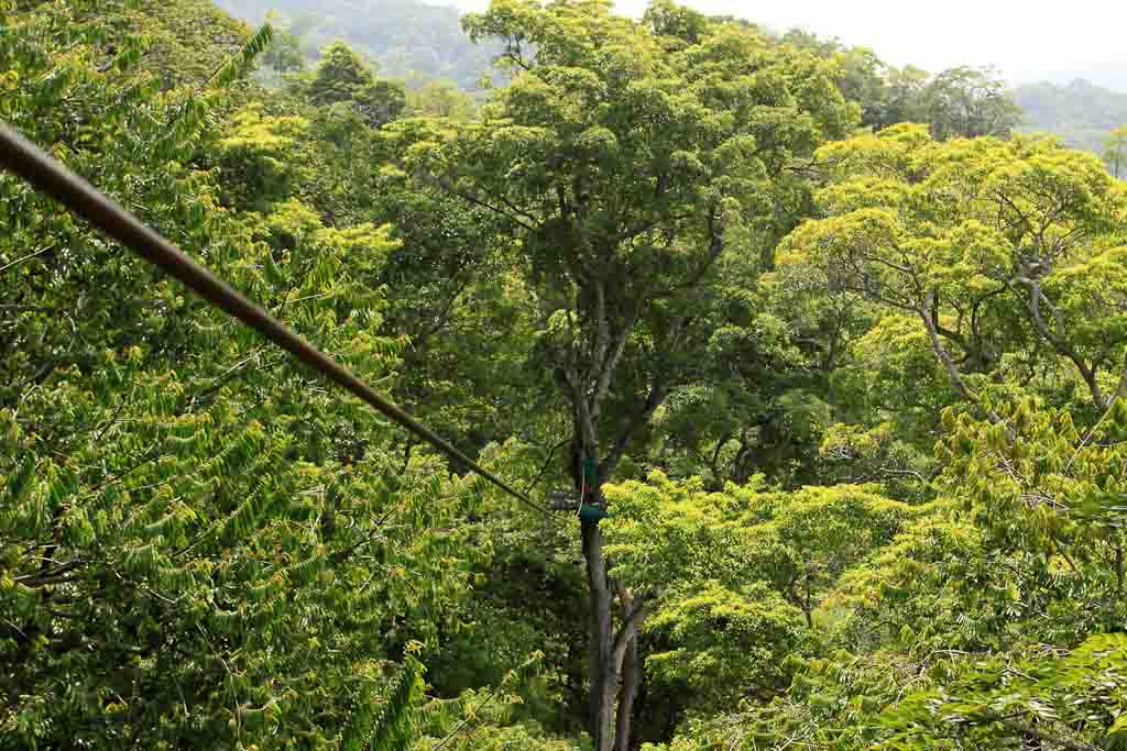 chiclets canopy tour 12thcable 5.jpg