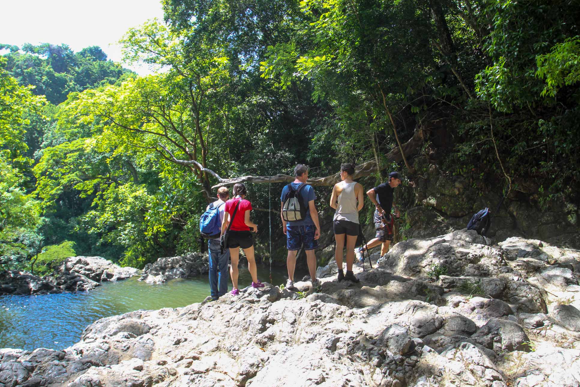 Pond With A Swing Above Montezuma Waterfall