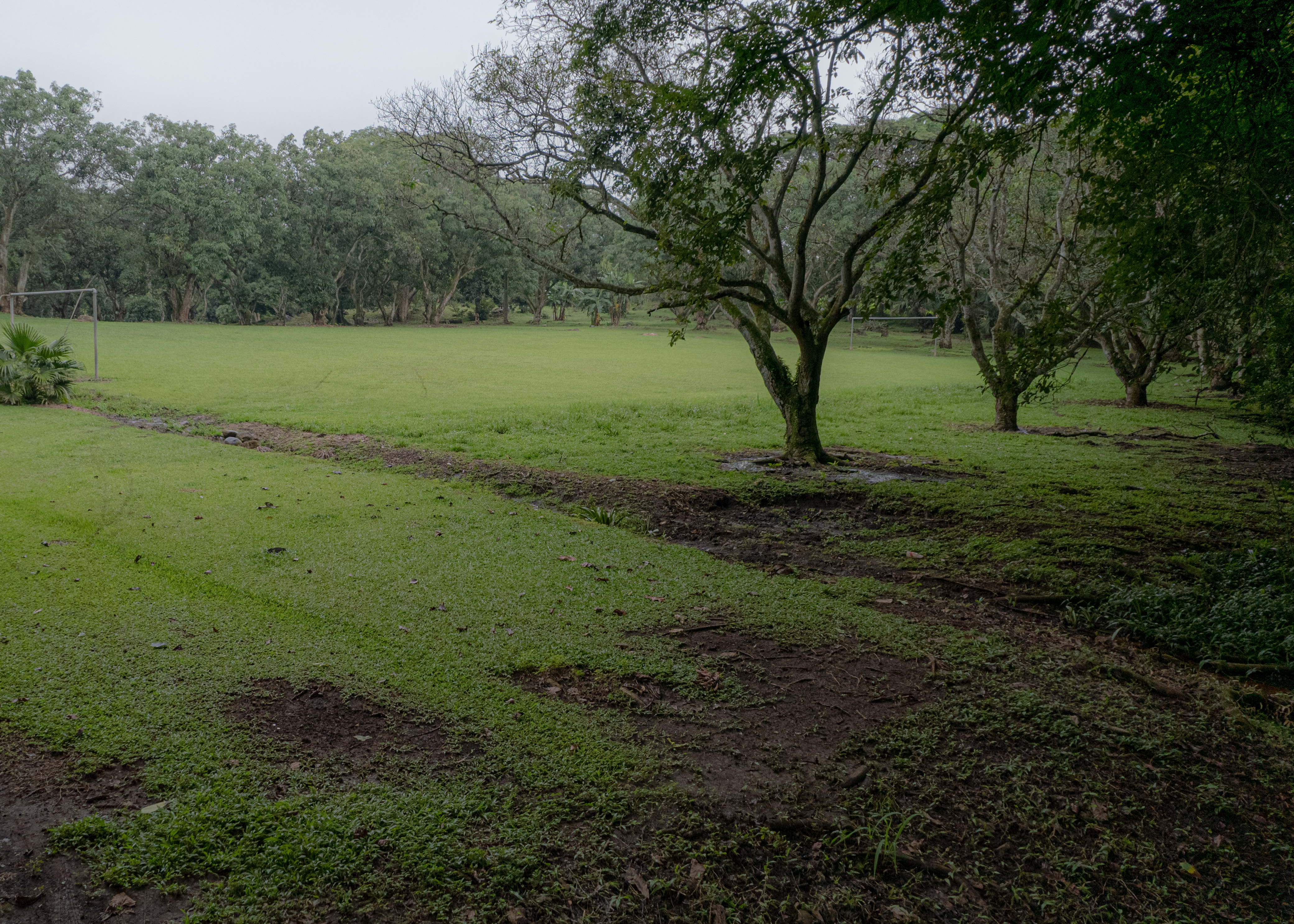 land for residential or industrial use near alajuela airport sjo view 011.jpg