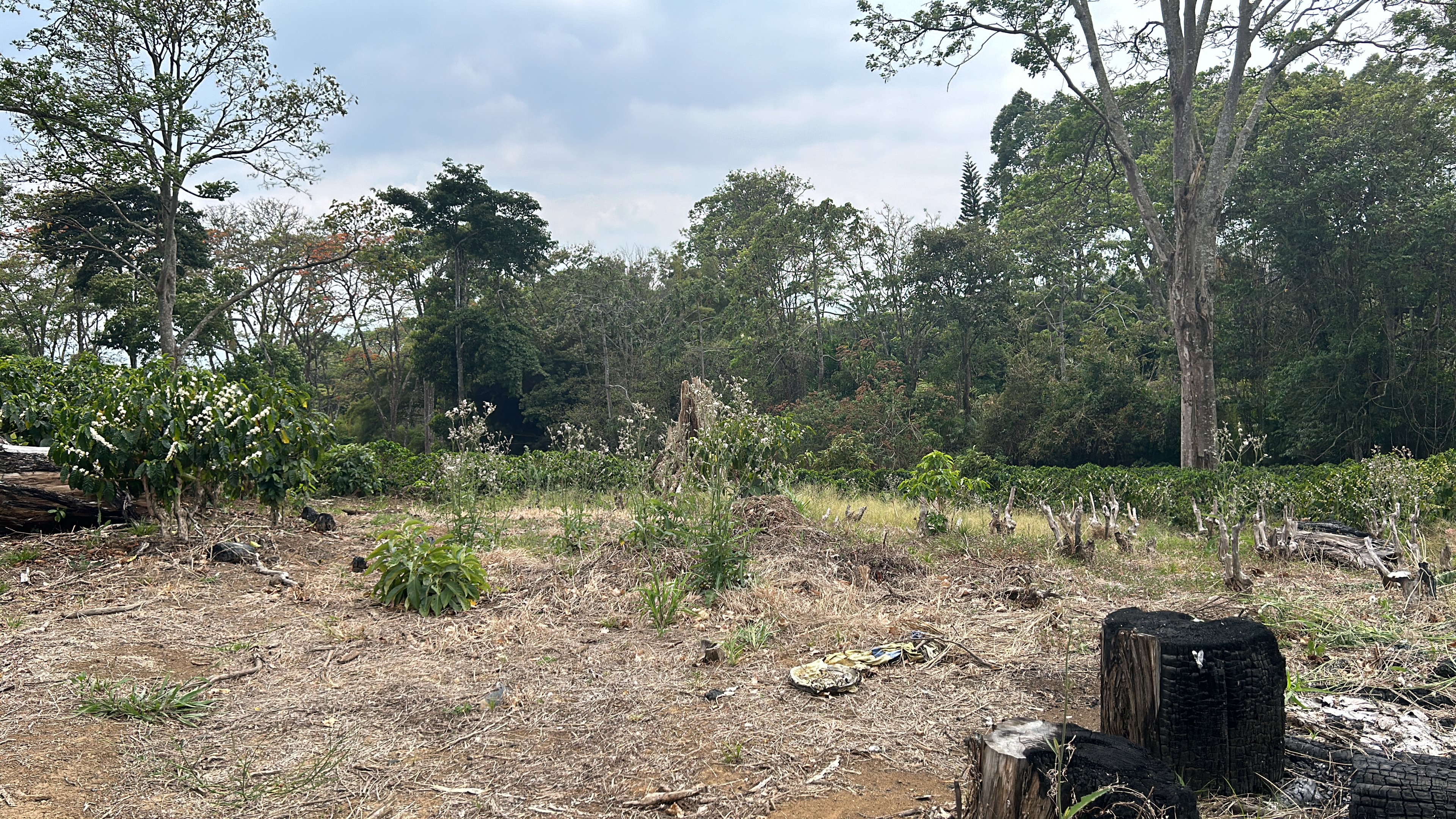 cul de sac residential development lot view 026.jpg