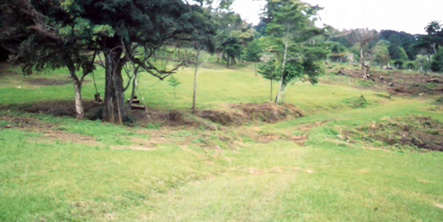 rectangular shaped lot for development view 006.jpg