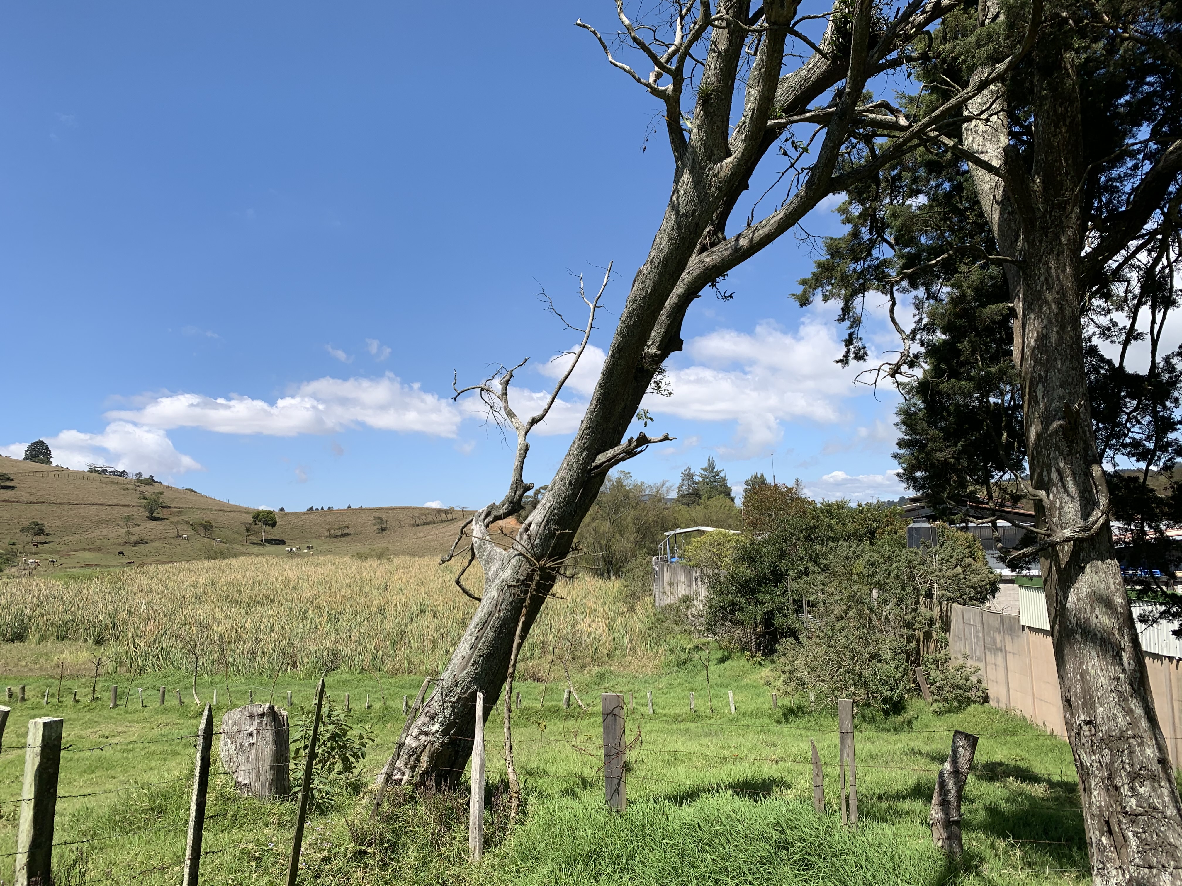 land for industrial development near cartago city view 002.jpg