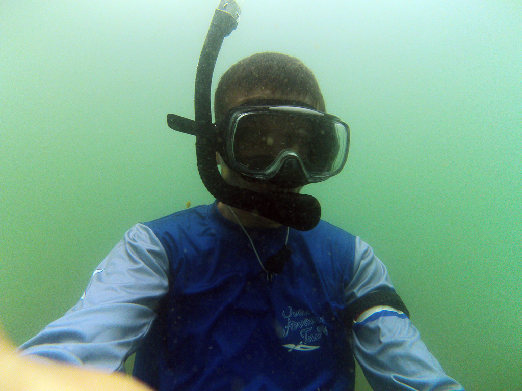 whale tail kayak tour underwater 5.jpg