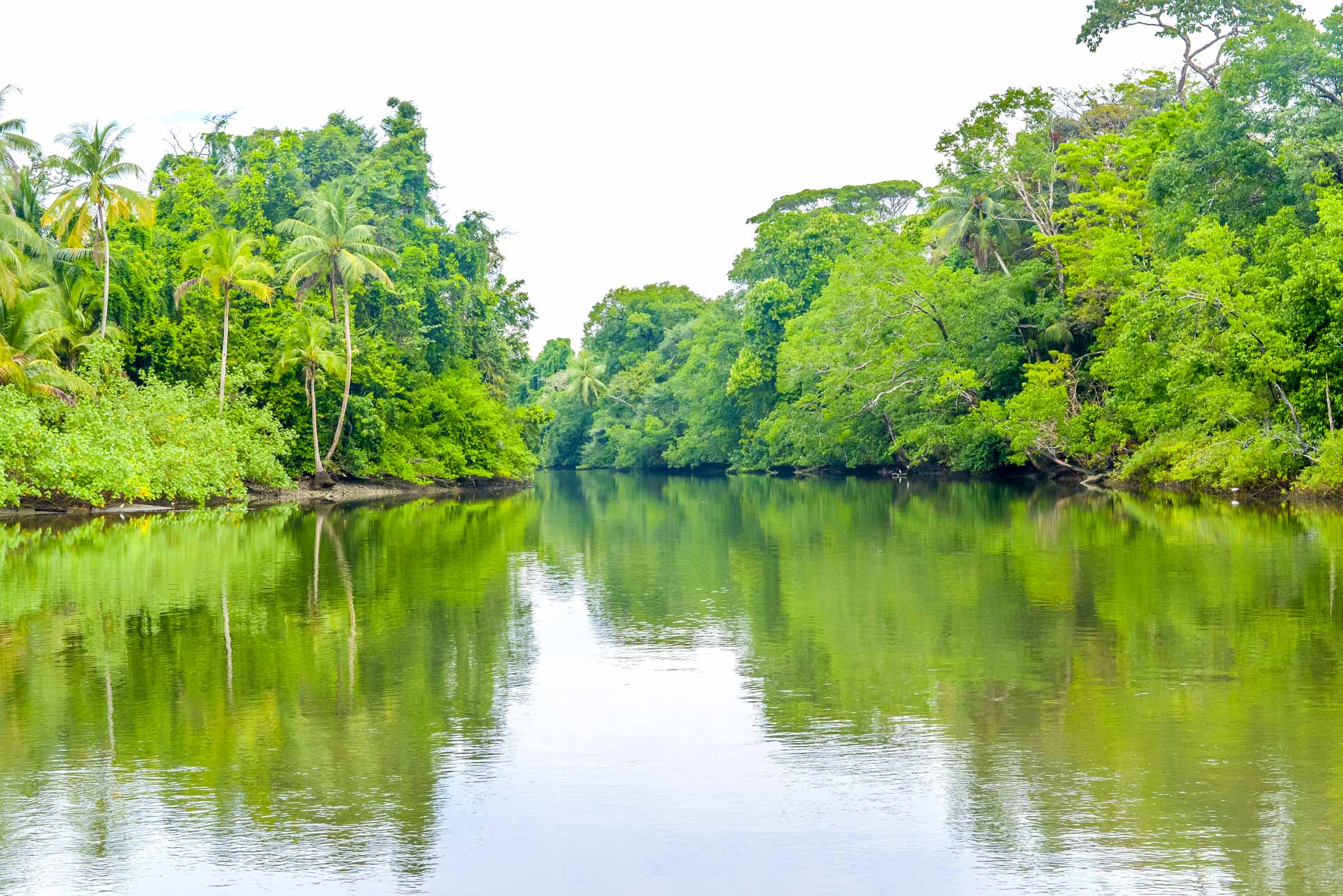 Sirena Rivermouth Sirena Ranger Station Corcovado National Park
