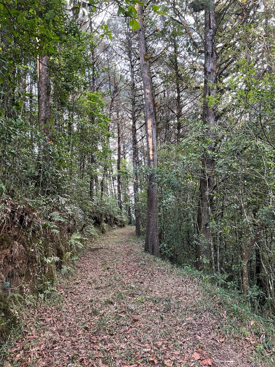 tourist development site with three rental units in cartago view 008.jpeg