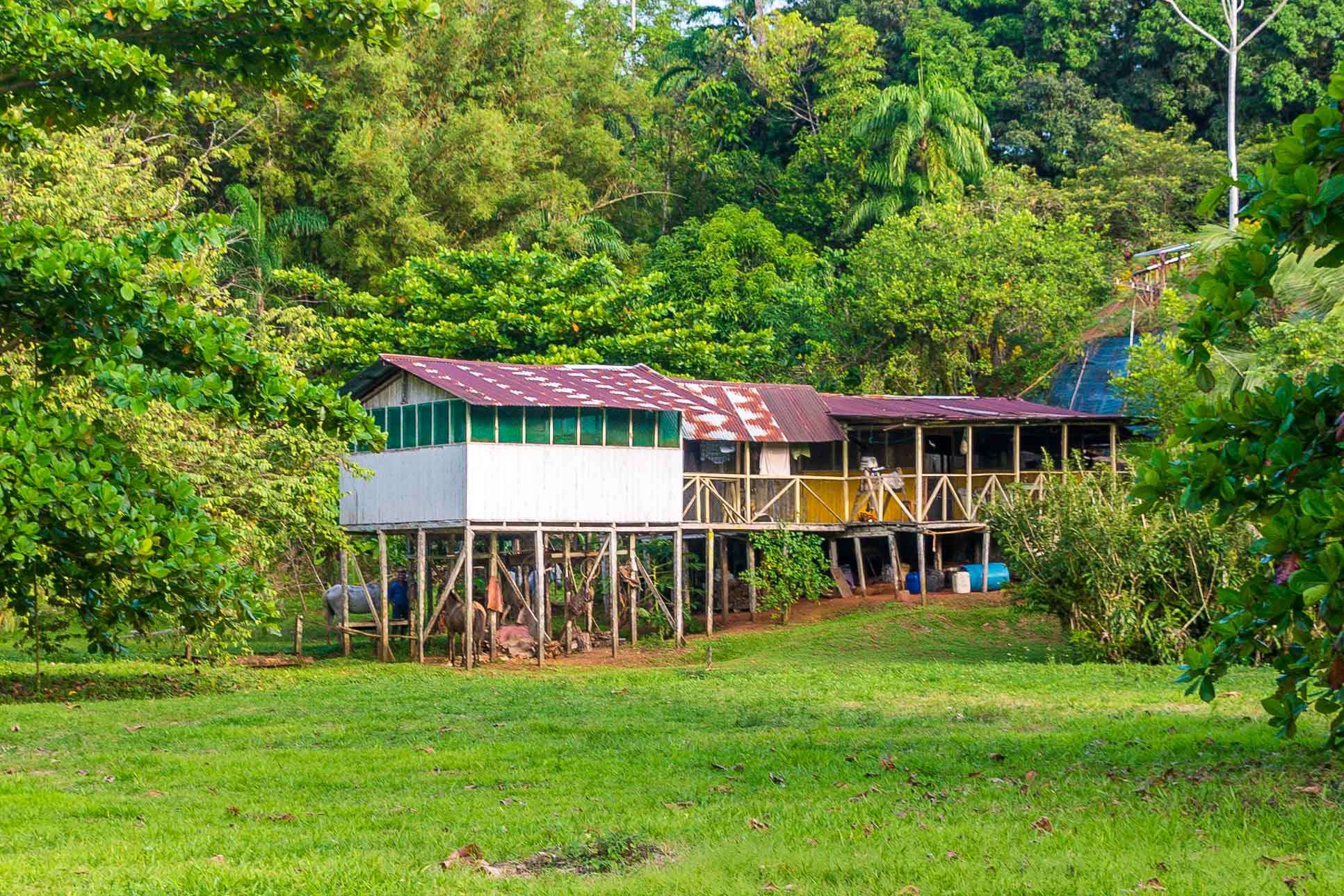 Chocuaco Waterfalls Stable