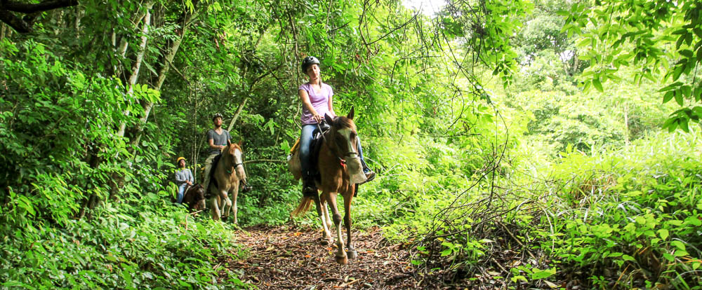 discovery horseback tour rainforest 1.jpg