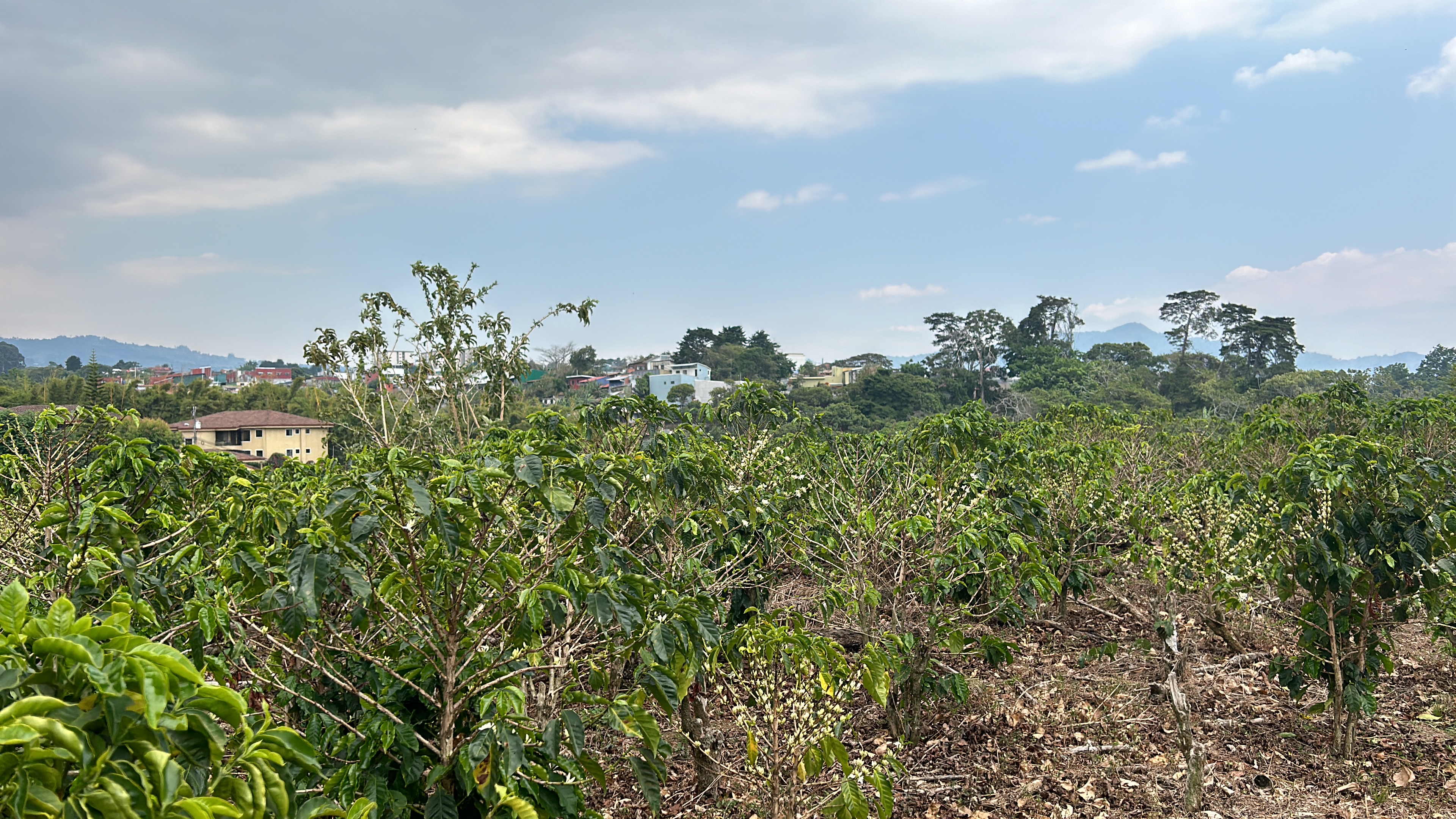 cul de sac residential development lot view 002.jpg