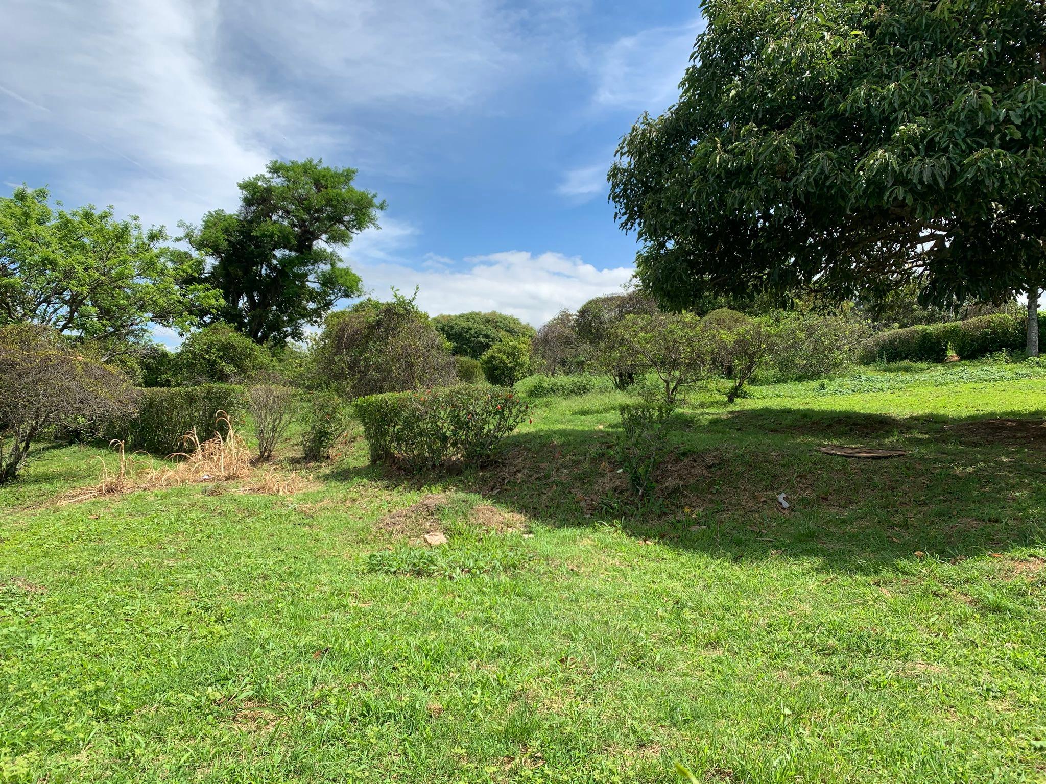 adjacent lots available in up in the hills of heredia buy one or all view 014.jpeg