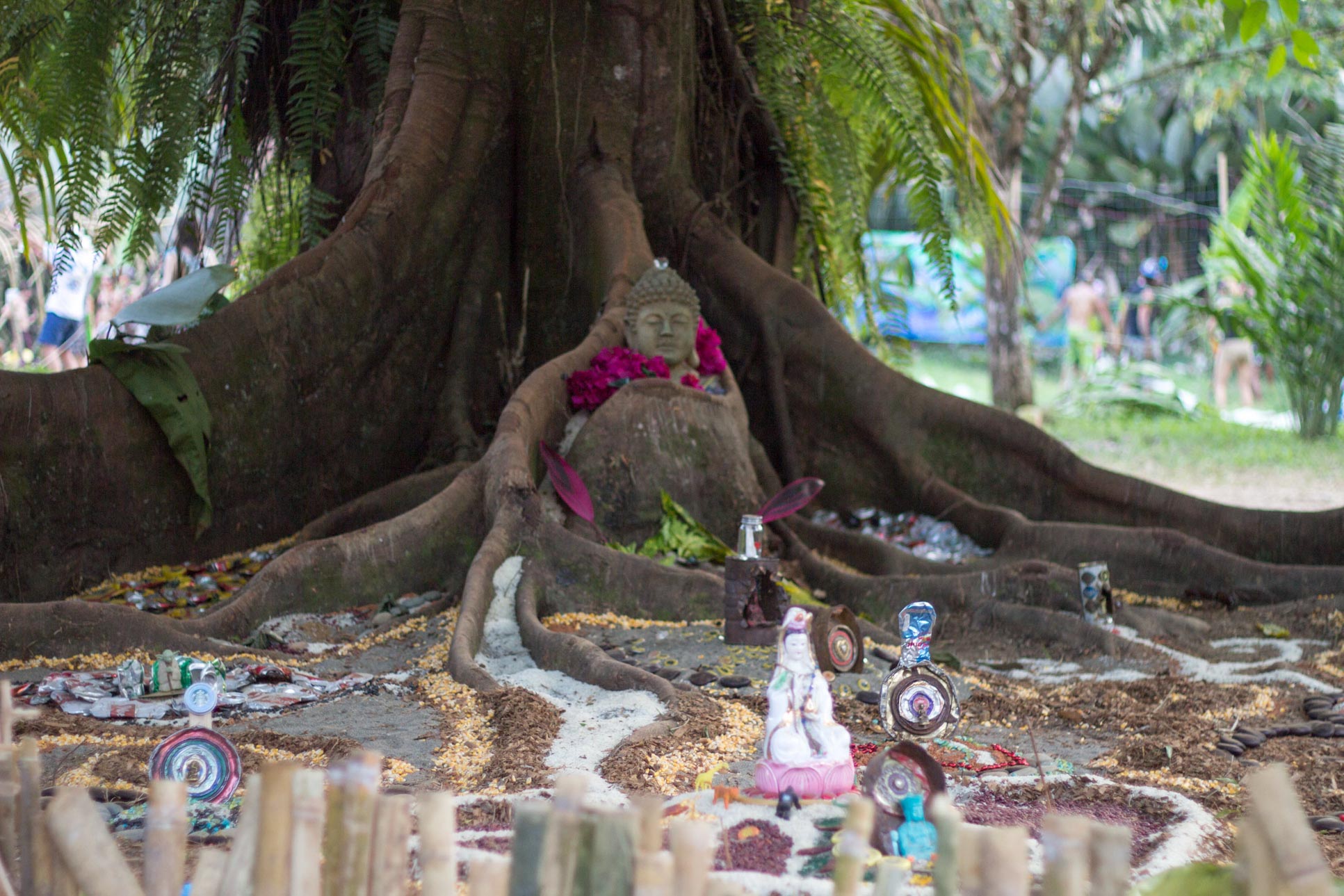 Buddha Below A Tree Envision Festival Costa Rica