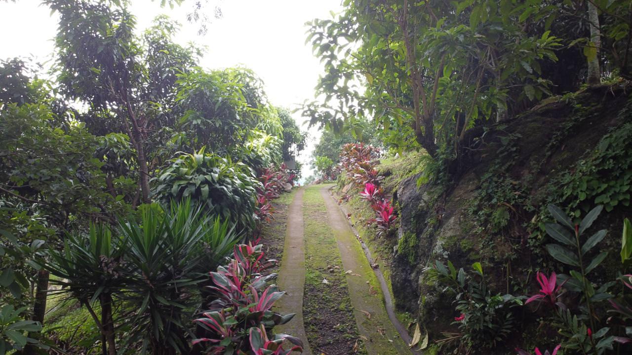 land with structures for wildlife rescue center in santa ana view 005.jpeg