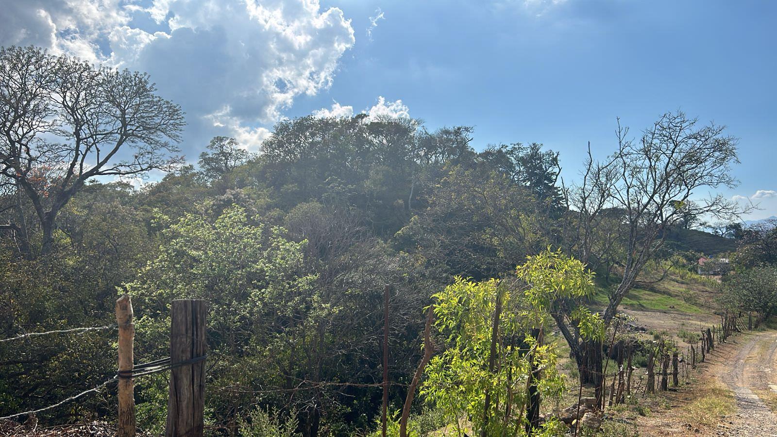 santa ana route 27 frontage 8 8 acre parcel buy one or all three parcel view 015.jpeg