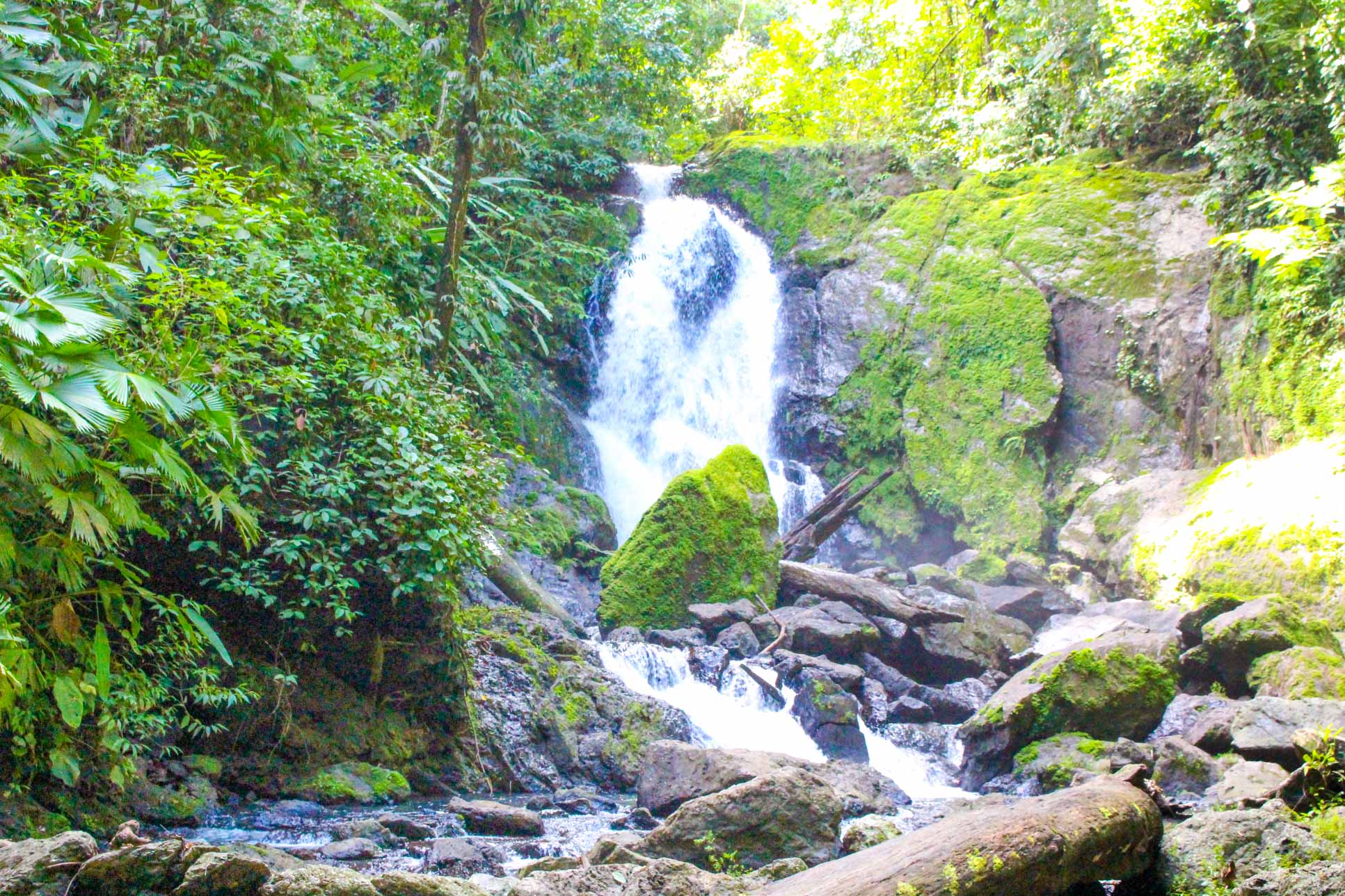 San Pedrillo Waterfall San Pedrillo Station Corcovado