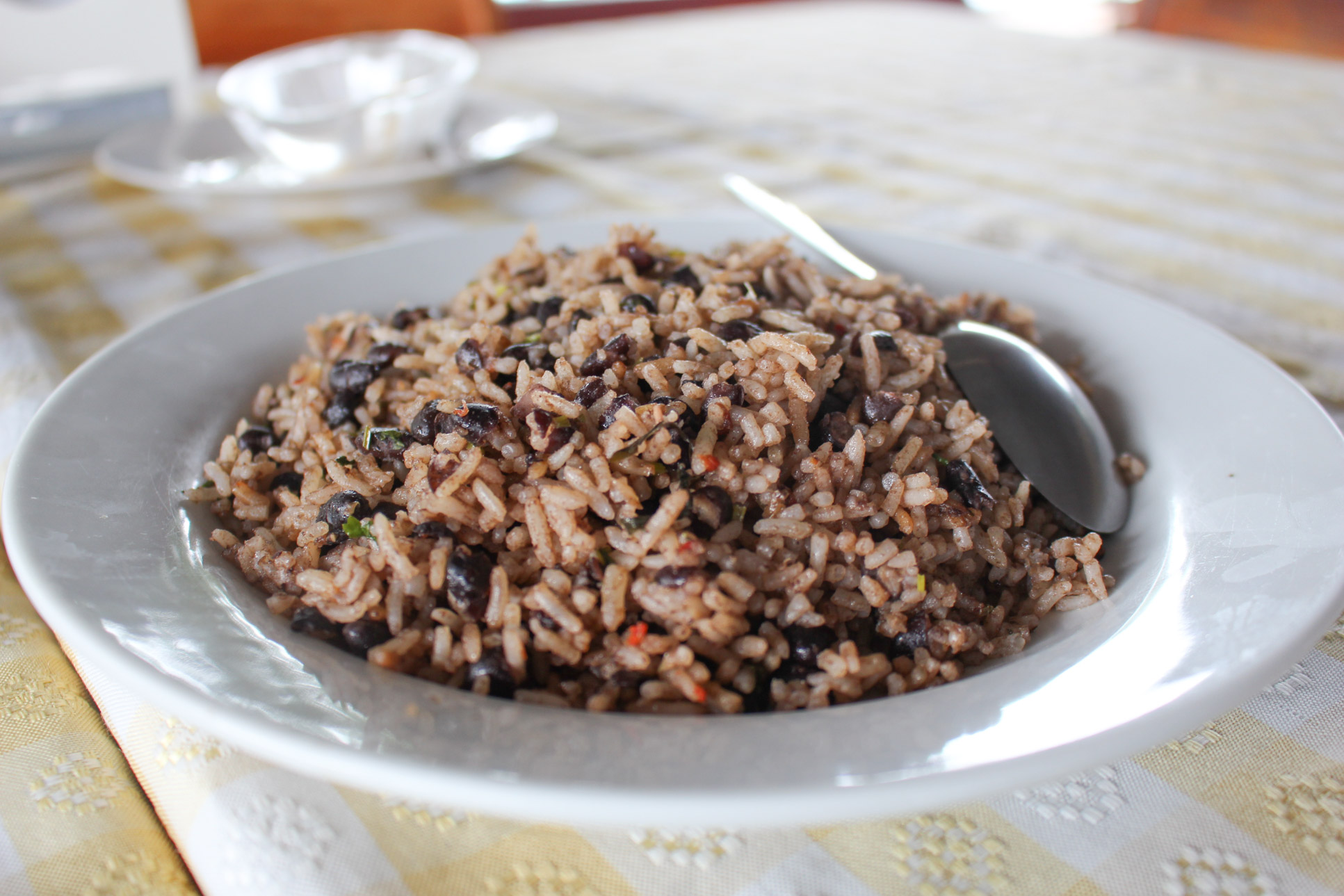 gallo pinto 11.jpg