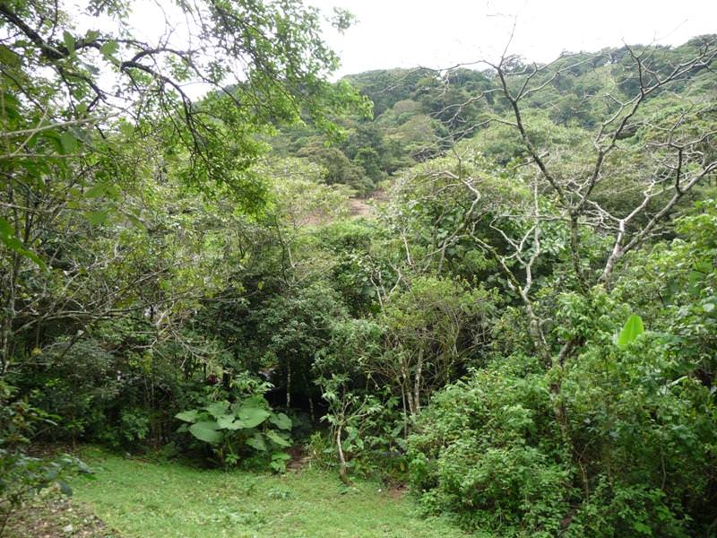 building parcel in alajuela city view 008.jpg