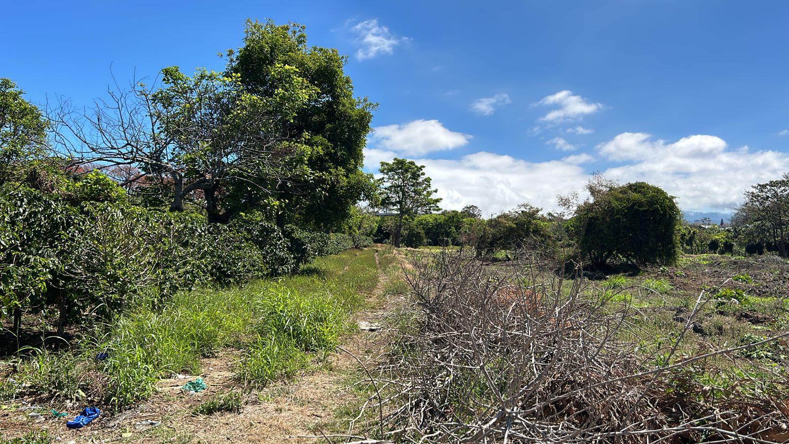 coffee estate construction site in santo domingo view 001.jpeg