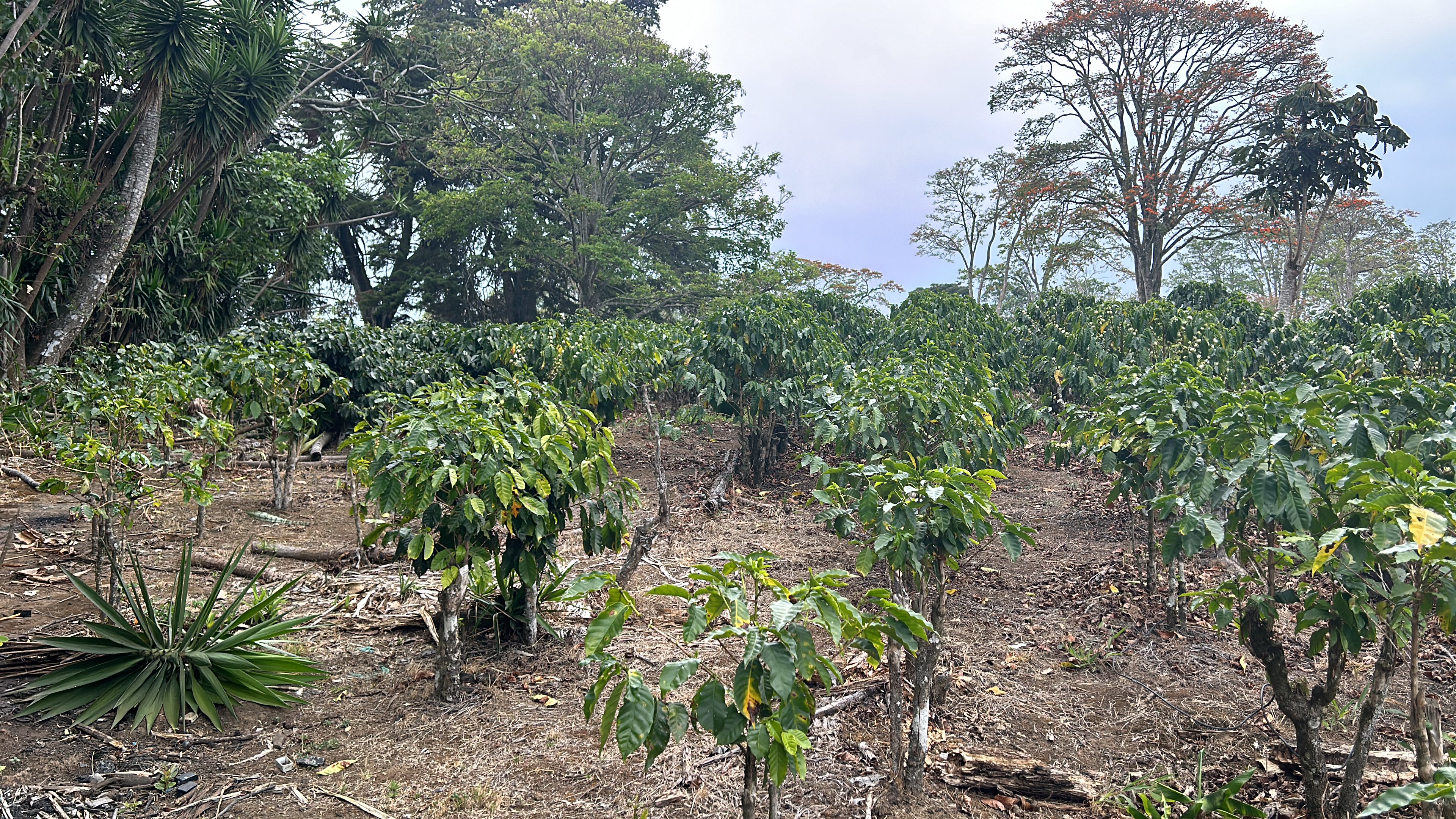 cul de sac residential development lot view 007.jpg