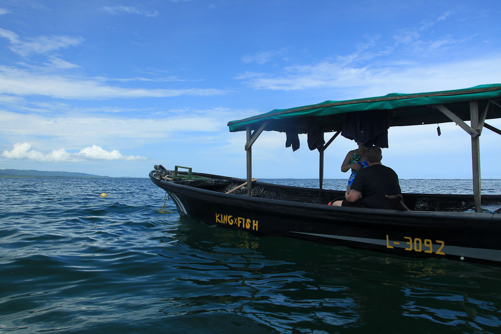 cahuita national park snorkeling hiking tour boat  9.jpg