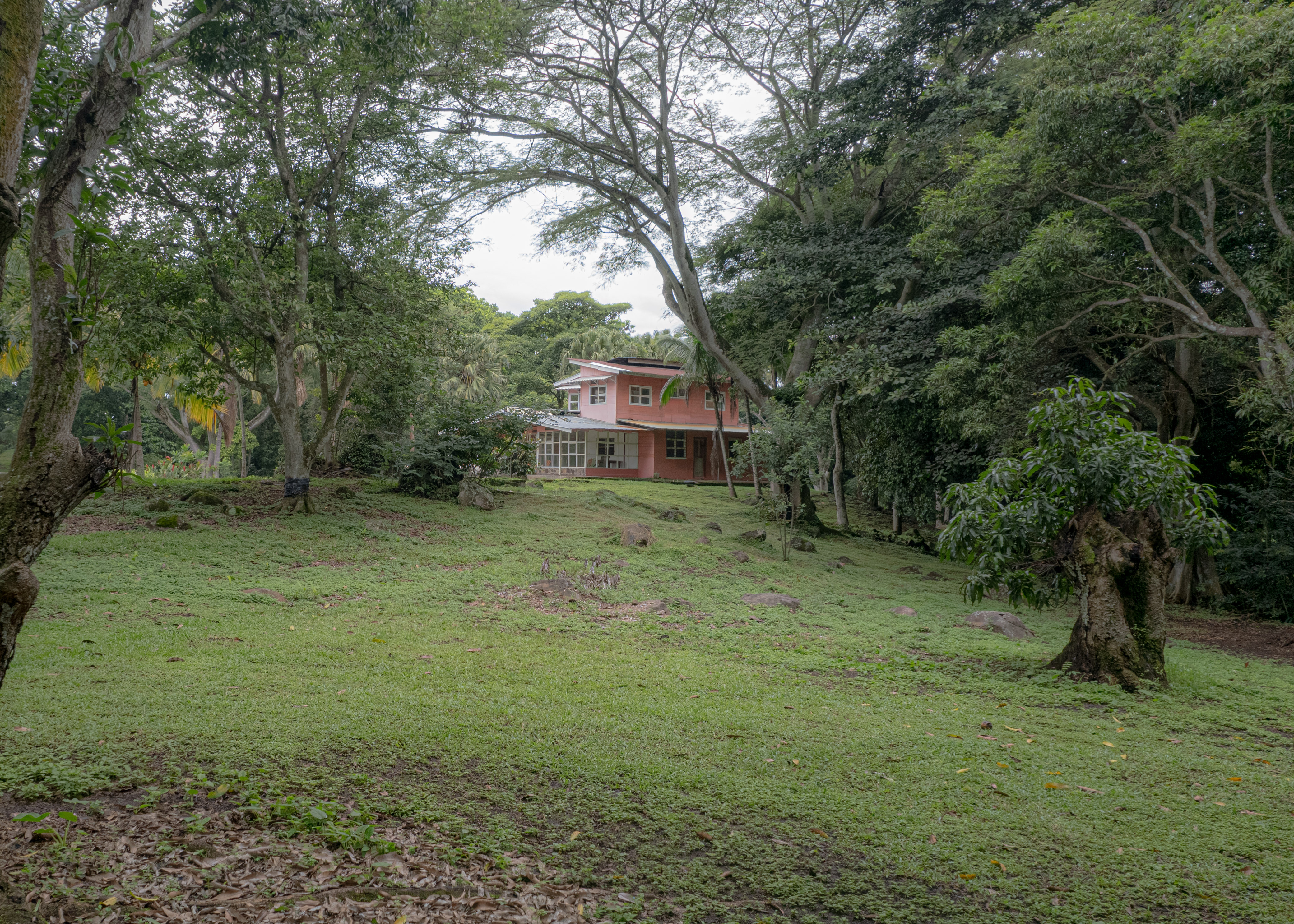 land for residential or industrial use near alajuela airport sjo view 010.jpg