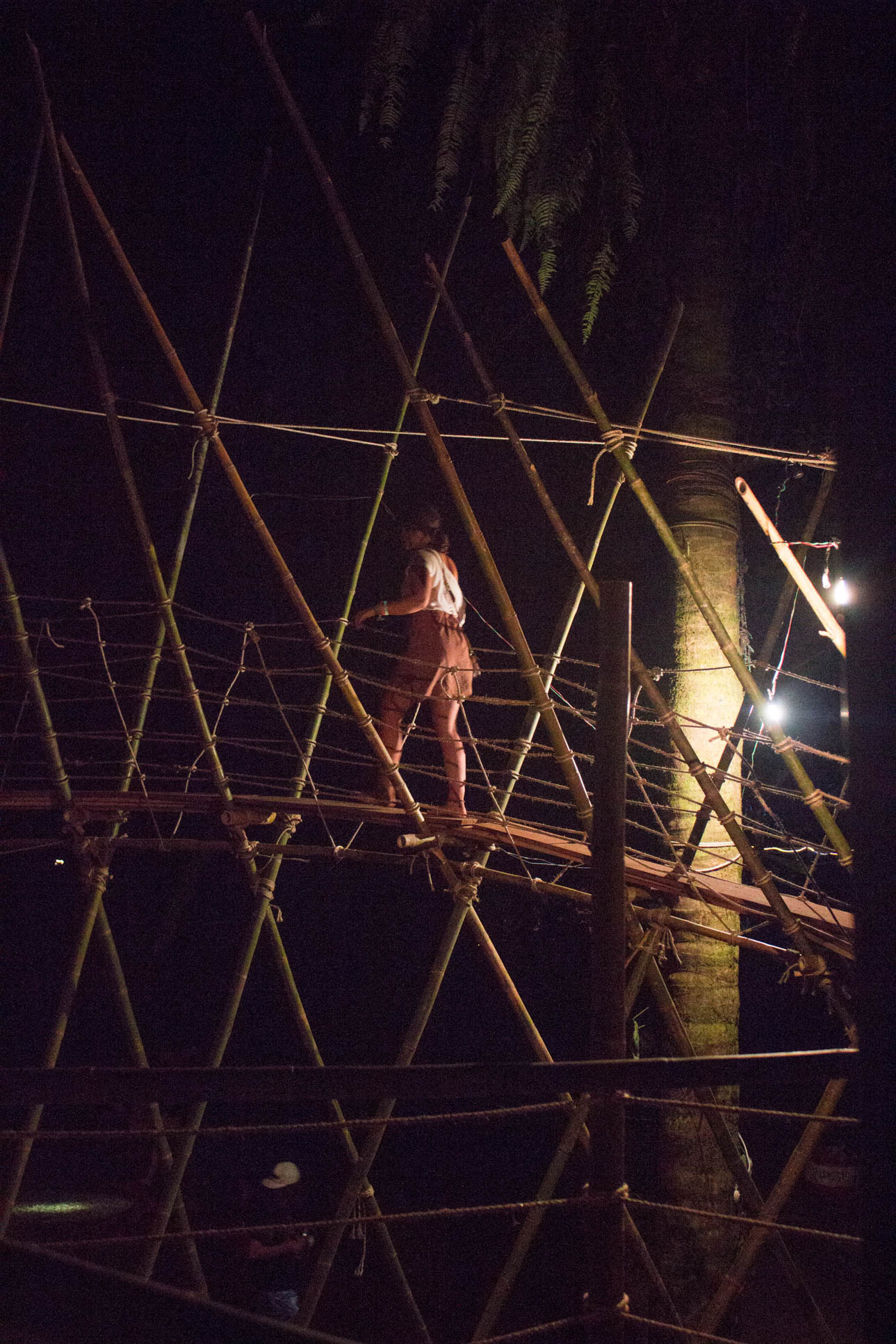 bamboo jungle gym envision festival 2015.jpg