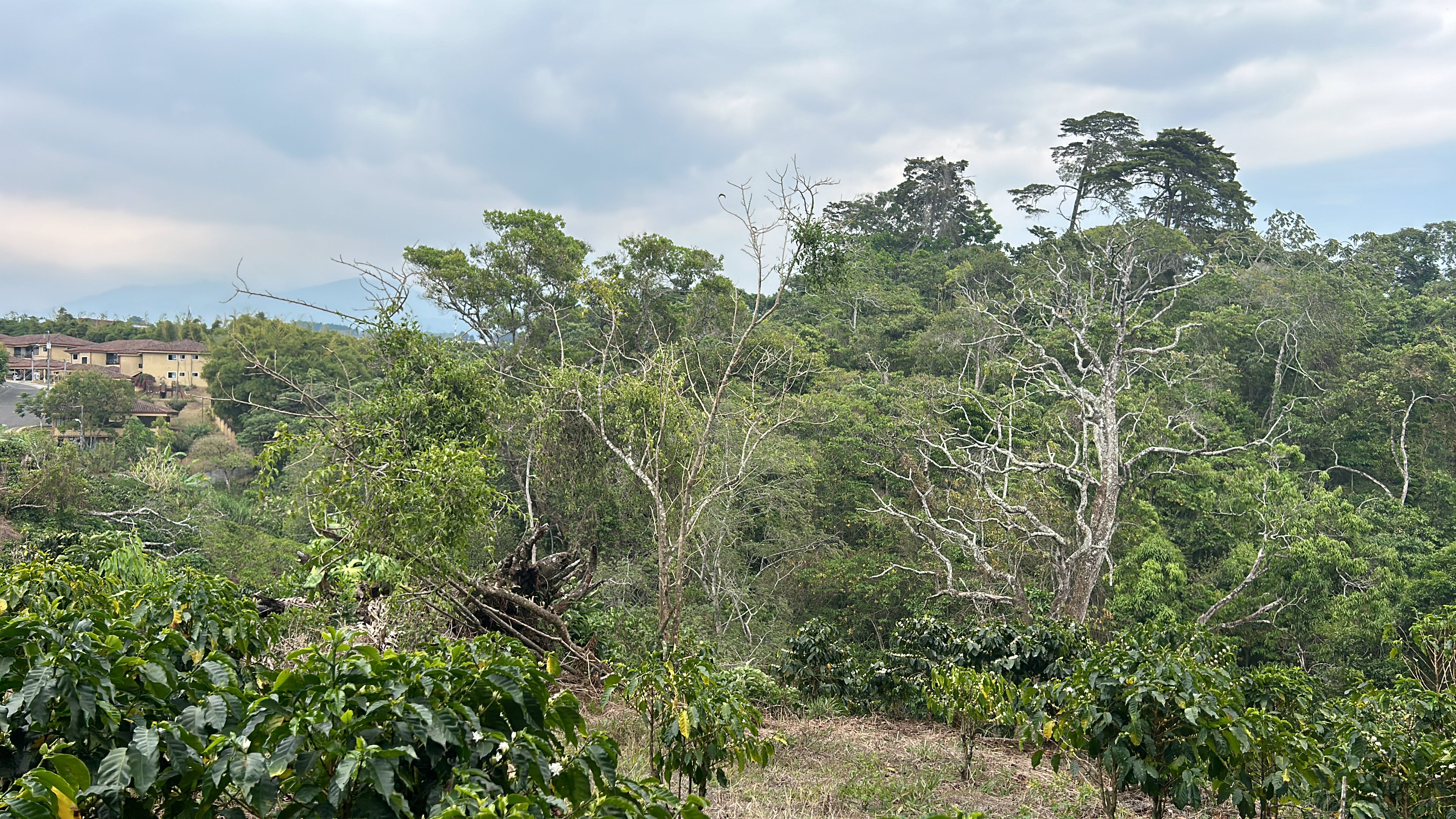 cul de sac residential development lot view 005.jpg