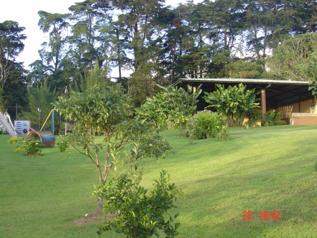 estate with two houses for redevelopment view 003.jpg