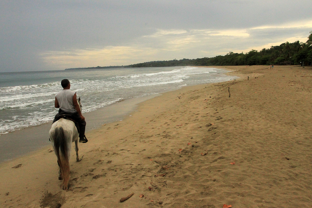 terraventuras beach horseback ride cocles beach 7.jpg