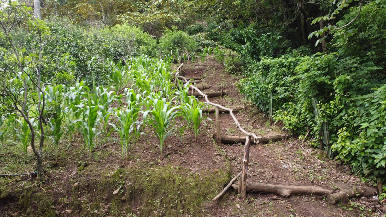 land with structures for wildlife rescue center in santa ana view 026.jpeg