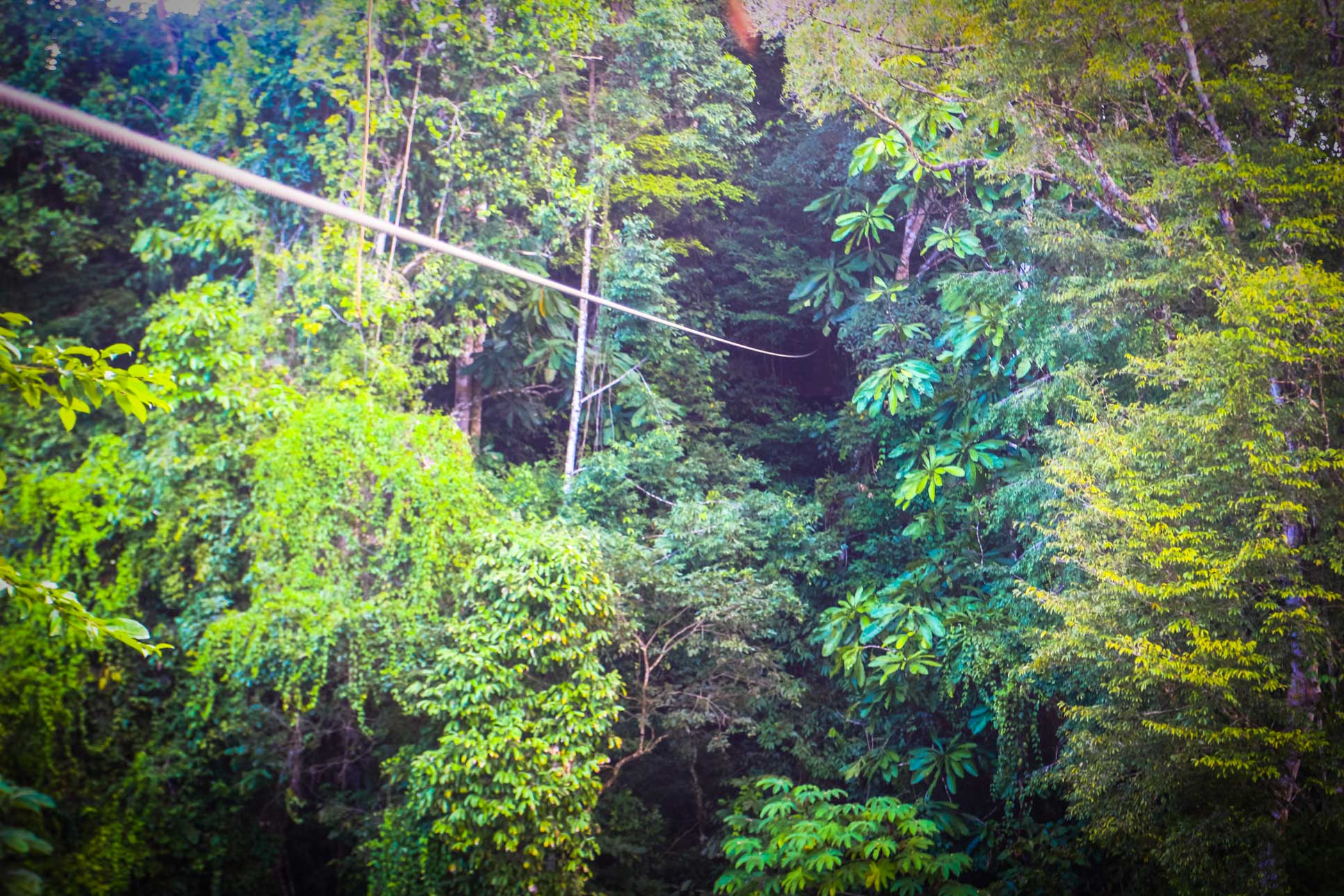 Long Cable Osa Palmas Canopy Tour