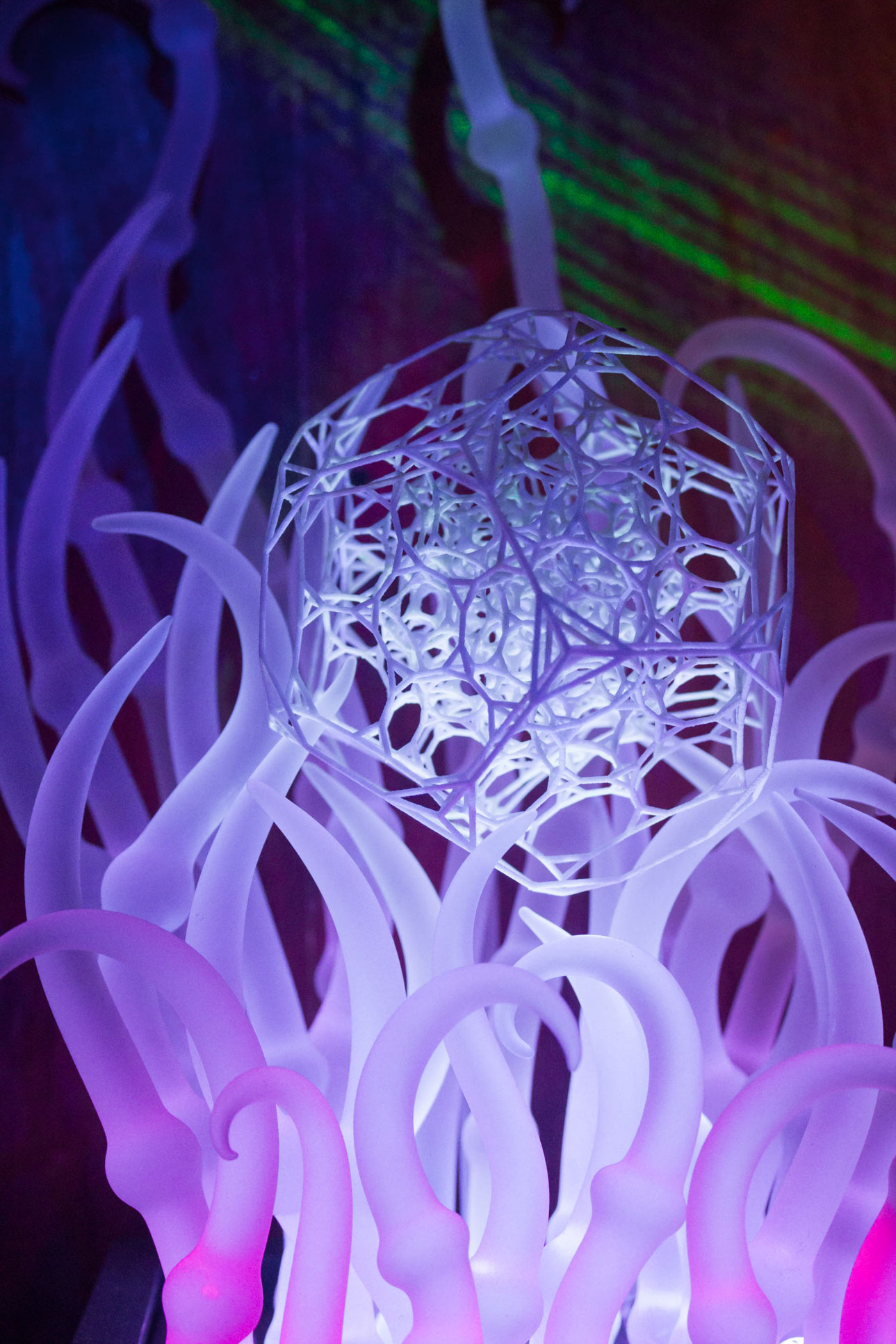 Blue Purple Decoration Envision Festival Costa Rica